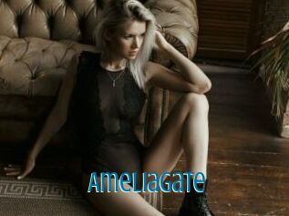 AmeliaGate