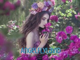 AngelFlyLaVid