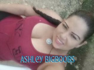 Ashley_Bigboobs