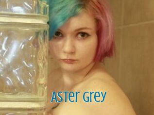 Aster_Grey