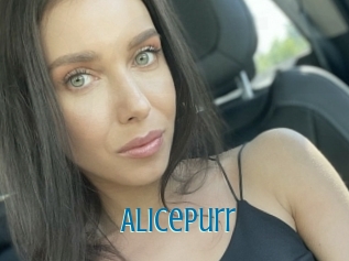 Alicepurr