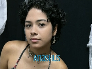 Anashus