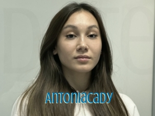 Antoniacady