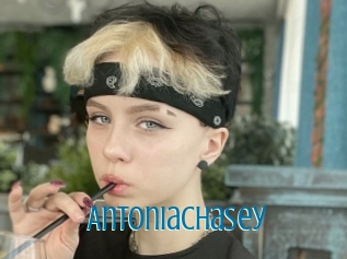 Antoniachasey