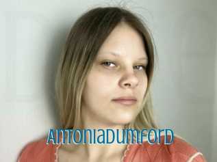 Antoniadumford