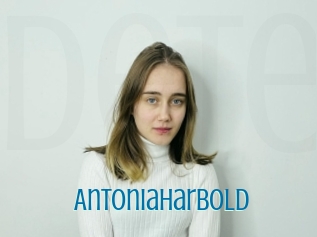 Antoniaharbold