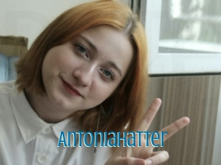 Antoniahatter