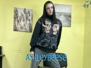 Ashleybeese