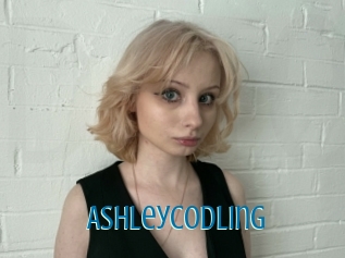 Ashleycodling