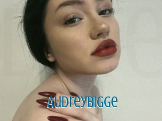 Audreybigge