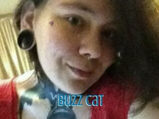 Buzz_Cat