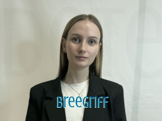 Breegriff