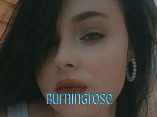 Burningrose