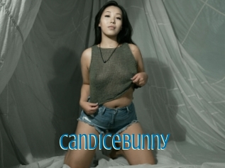 Candicebunny