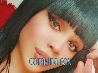 Catalina_fox