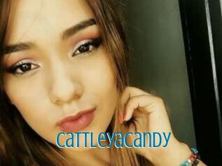 Cattleyacandy