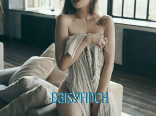 DaisyFinch