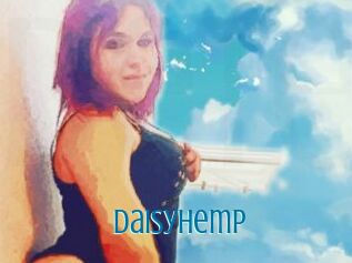 Daisy_hemp