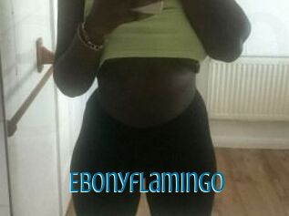 Ebony_flamingo