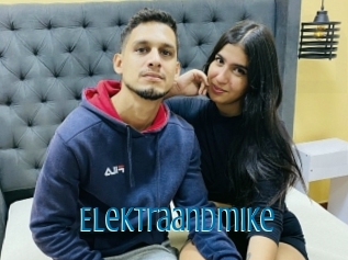 Elektraandmike