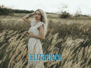 Elizamool