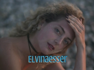 Elvinaesser