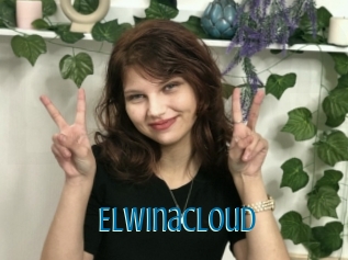 Elwinacloud