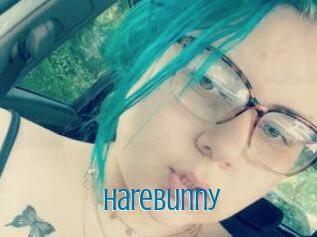 HareBunny