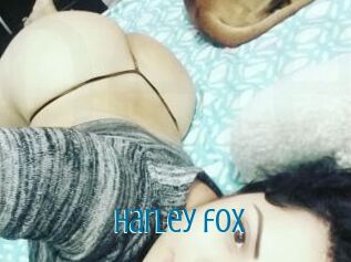 Harley_fox