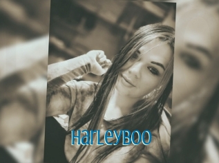 Harleyboo