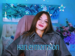 Harleymorrison