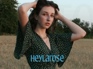 Heylarose