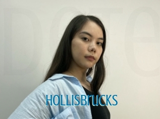 Hollisbrucks