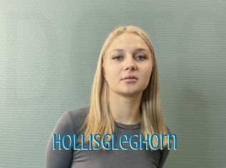 Hollisgleghorn