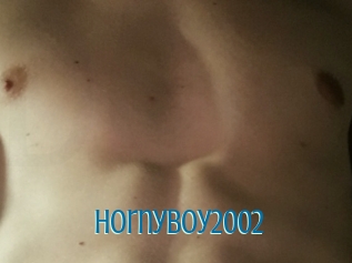 Hornyboy2002