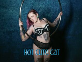 Hot_cute_cat