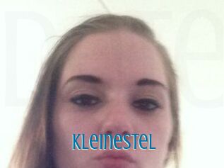 KleineStel