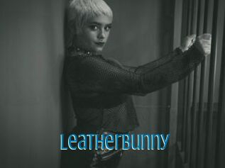 LeatherBunny