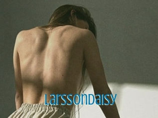 Larssondaisy