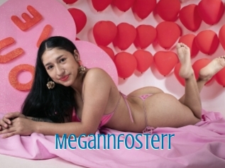 Megannfosterr