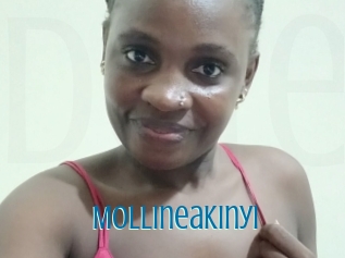 Mollineakinyi