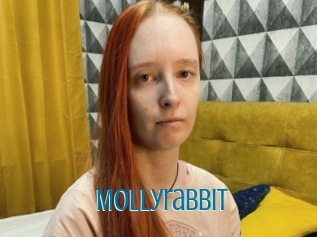 Mollyrabbit