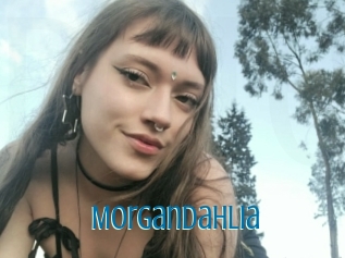 Morgandahlia