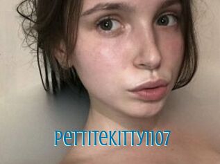 Pettitekitty1107