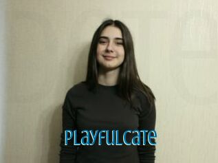 PlayfulCate