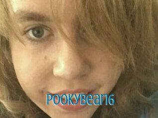 Pookybear16