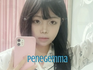 Penegemma