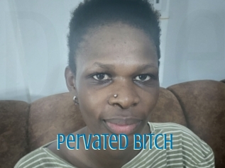 Pervated_bitch