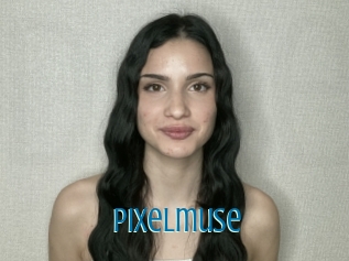 Pixelmuse