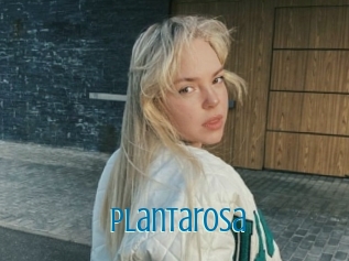 Plantarosa